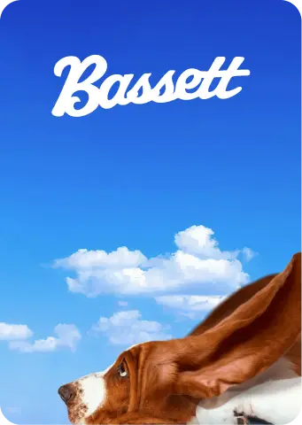Bassett Services